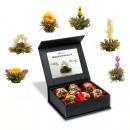 Teeblumen Weißer Tee in eleganter Magnetbox